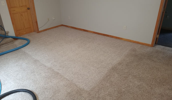 Carpet cleaning